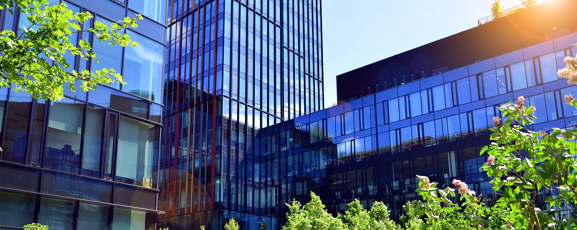 Commercial Property 3 1920 x 768 px
