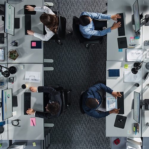 Employment Law HR 6 500 x 500 px